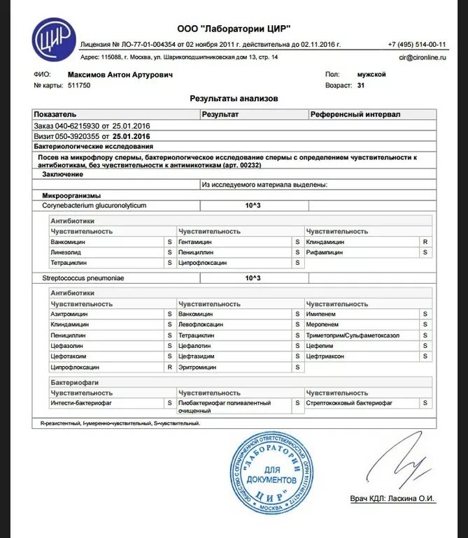 Цир спермограмма. Цир спермограмма