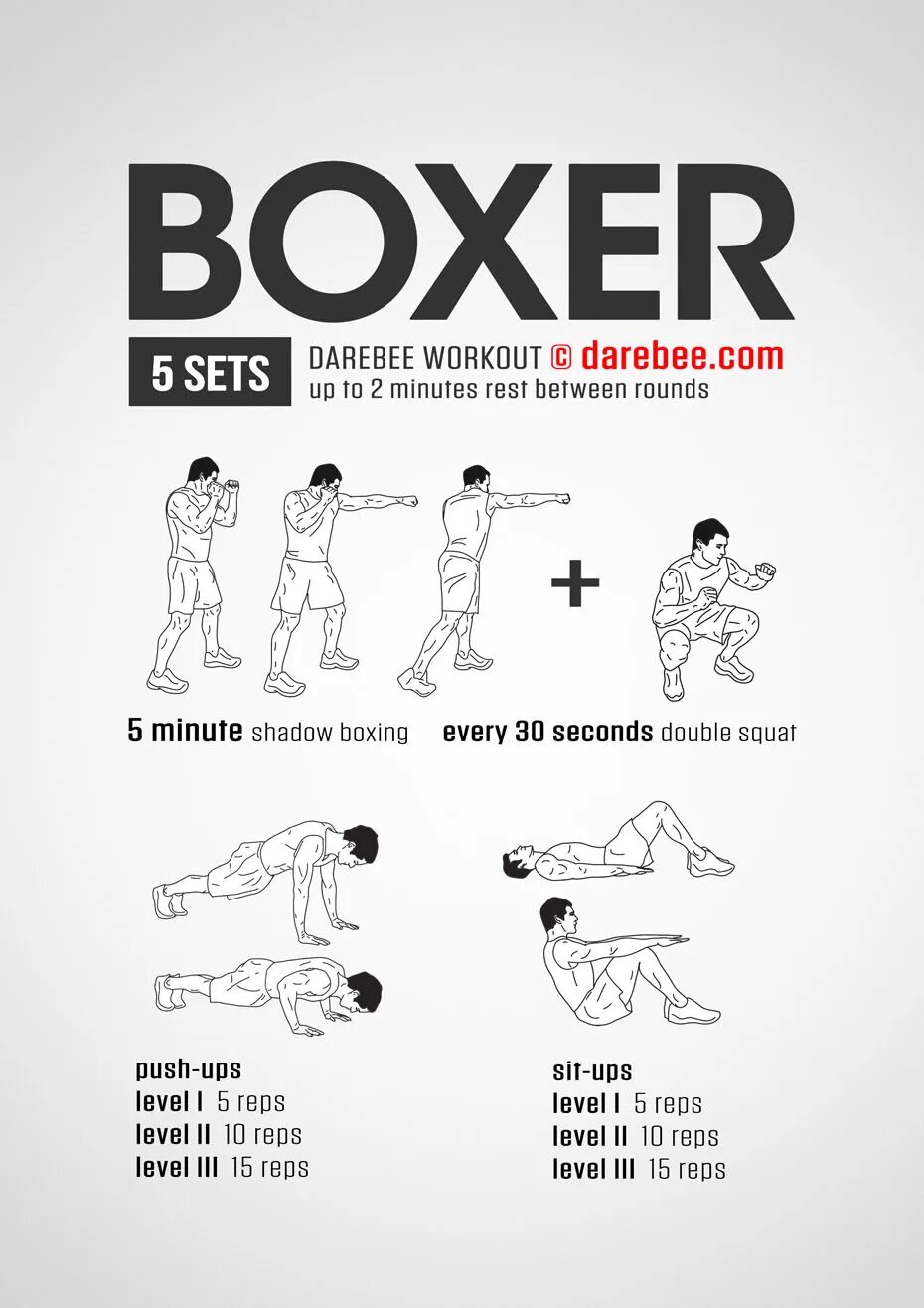 DAREBEE Boxer Workout. План тренировок бокс. План тренировки боксера. Упражнения для бокса. Упражнения boxing