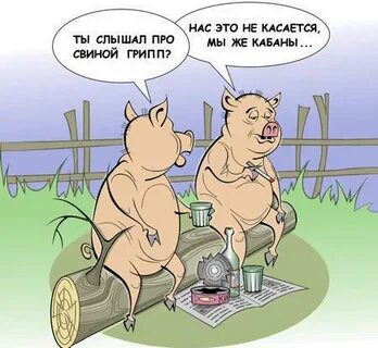 Анекдот свинья в люльке