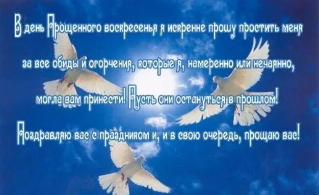 Открытки с днём прощенного воскресенья. Прощеное воскресенье ОТК. Прощеное воскресенье голубь. Прощенное воскресенье стихи. Просить прощение у друзей в прощенное воскресенье