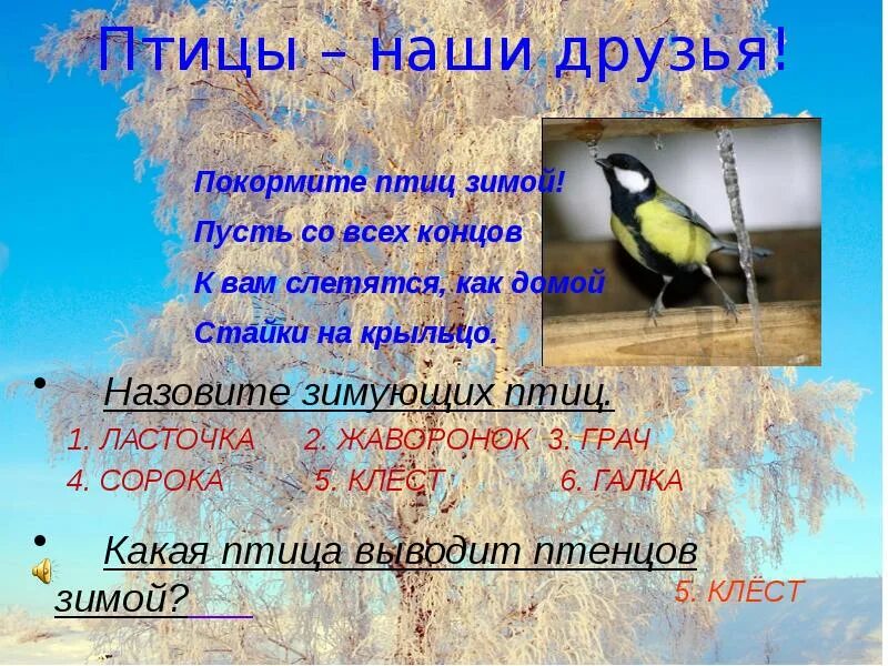 Почему птицы наши друзья. Птицы наши друзья. Птицы наши друзья презентация. Проект птицы наши друзья. Пчитчы нашы друзя.