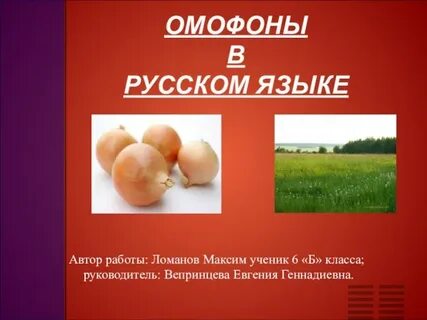 Слова омофоны