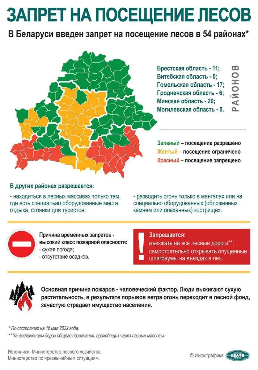 Запрет на посещение лесов в беларуси 2025. Ограничение посещения лесов. запрет на посещение лесов. посещение лесов запрещено. инфографика лес.