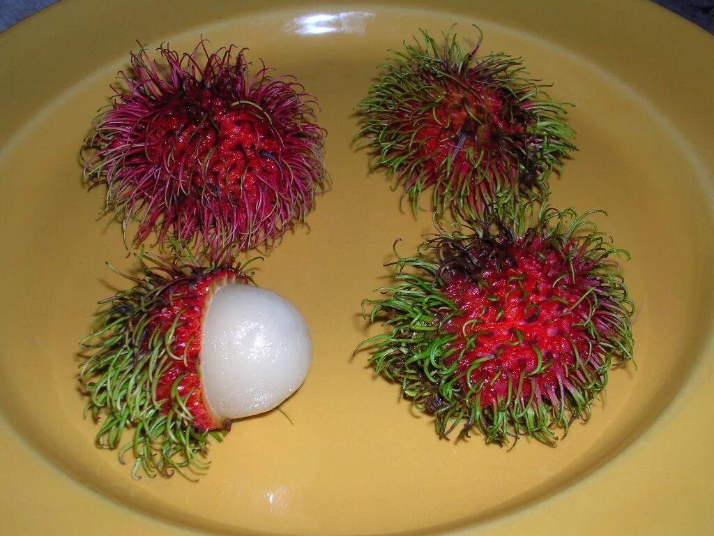 сок рамбутан вьетнам. волосатый фрукт рамбутан. волосатый фрукт рамбутан. волосатый фрукт рамбутан. рангутан фрукт.