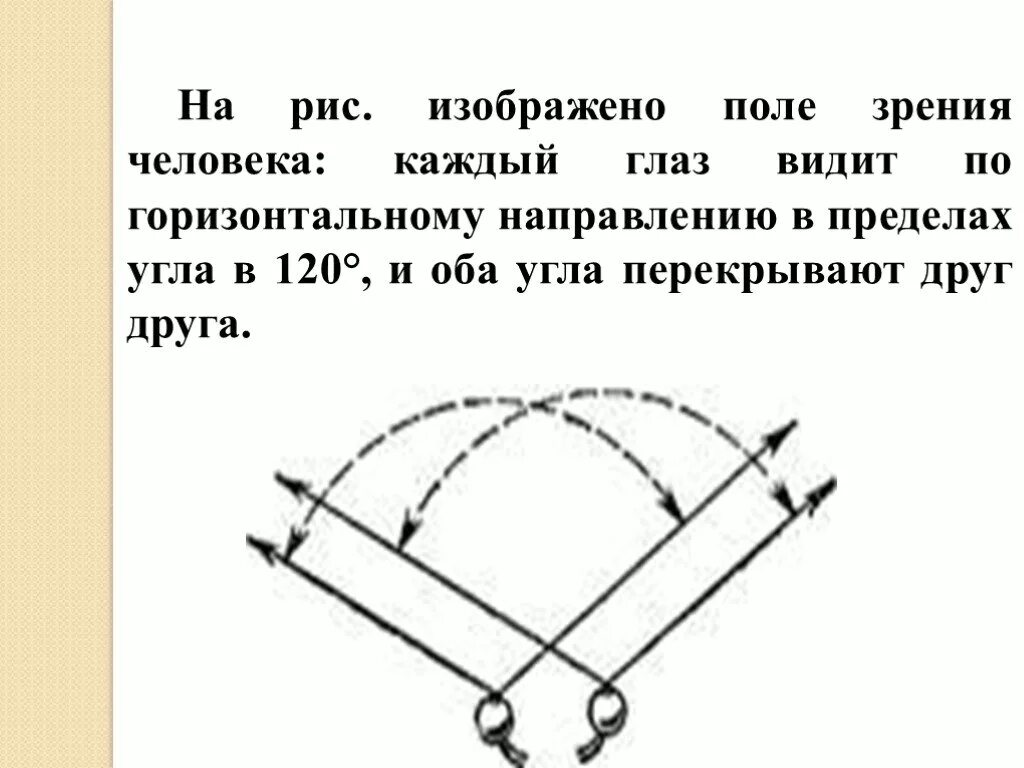 Угол зрения человека. Угол зрения человеческого глаза. Угол зрения человека по вертикали. Каково поле зрения глаза в горизонтальной плоскости. Сколько видит 8 8 8