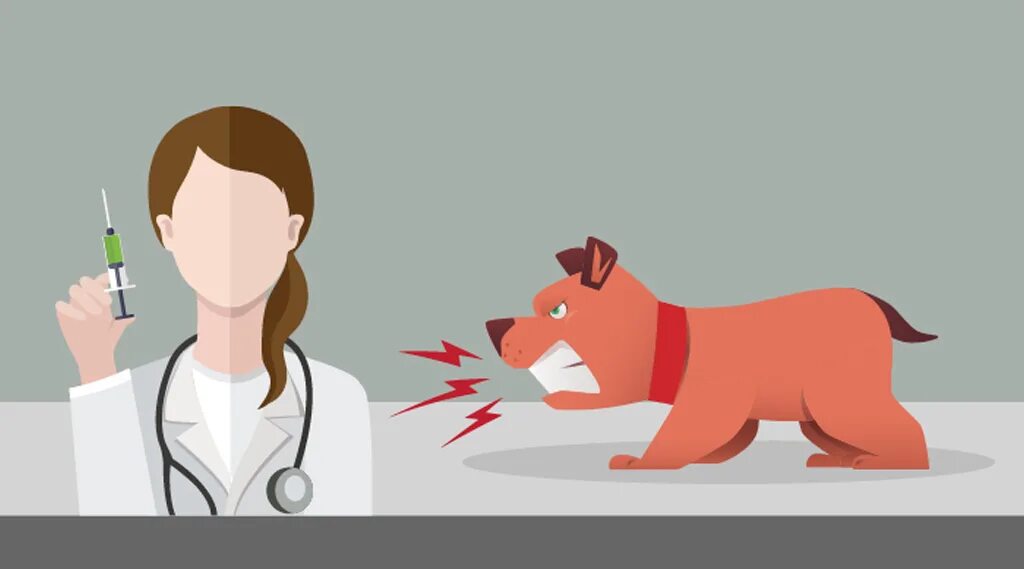 инфекционная заболеваемость сельскохозяйственных животных. острые инфекционные заболевания животных. острые инфекционные заболевания животных. возбудитель бешенства у животных. сельский ветеринар.