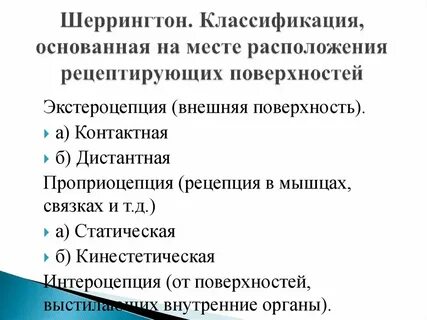 На чем основана классификация