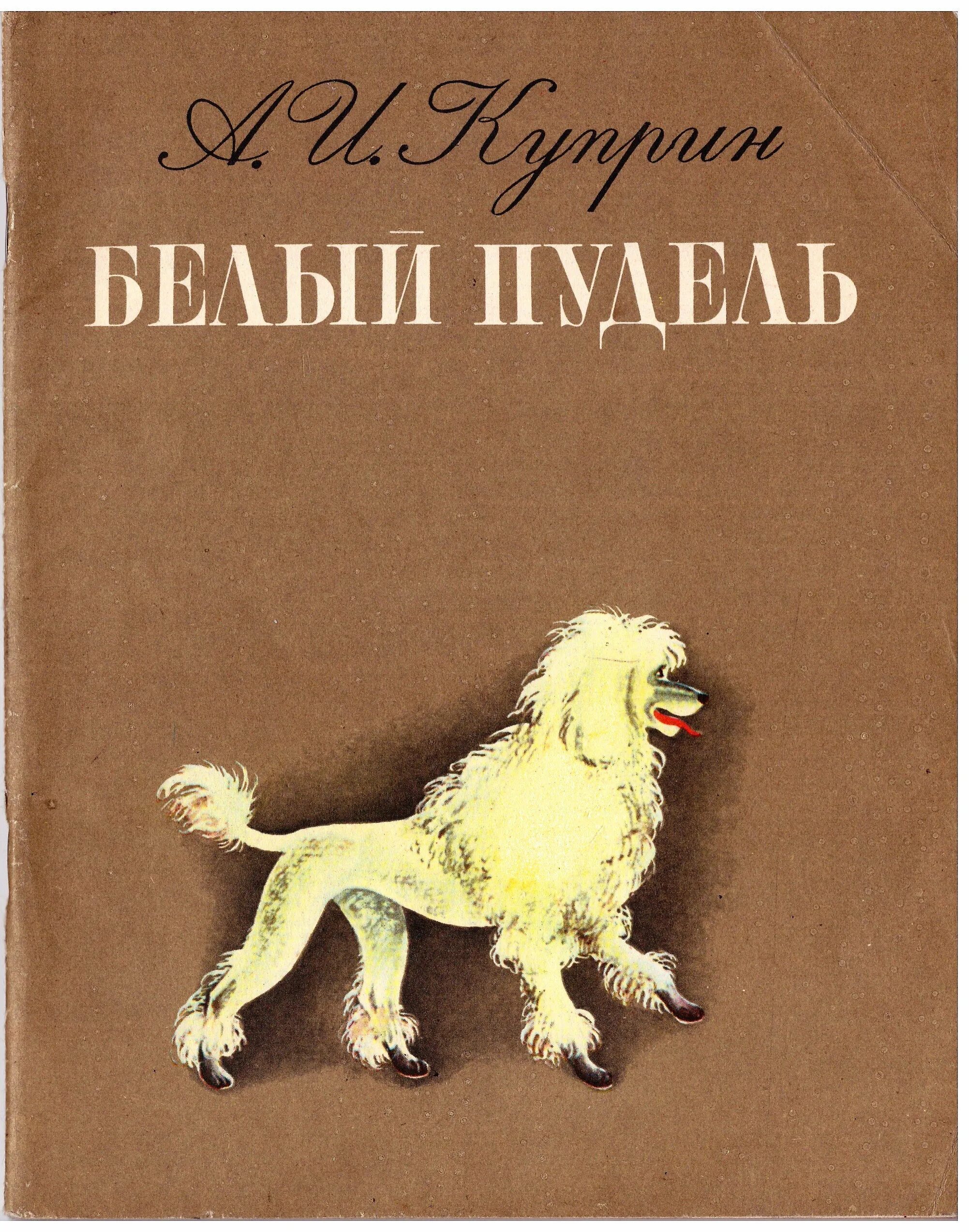Кто написал пудель. А. И. Куприн "белый пудель". Пудель Арто Куприн. Арто белый пудель. Белый пудель Куприна.