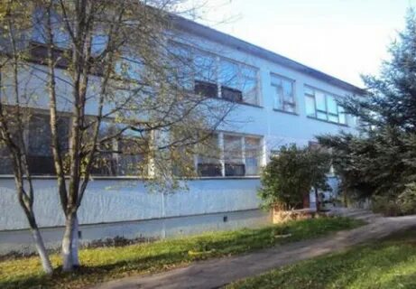 Поселок лесное детский сад