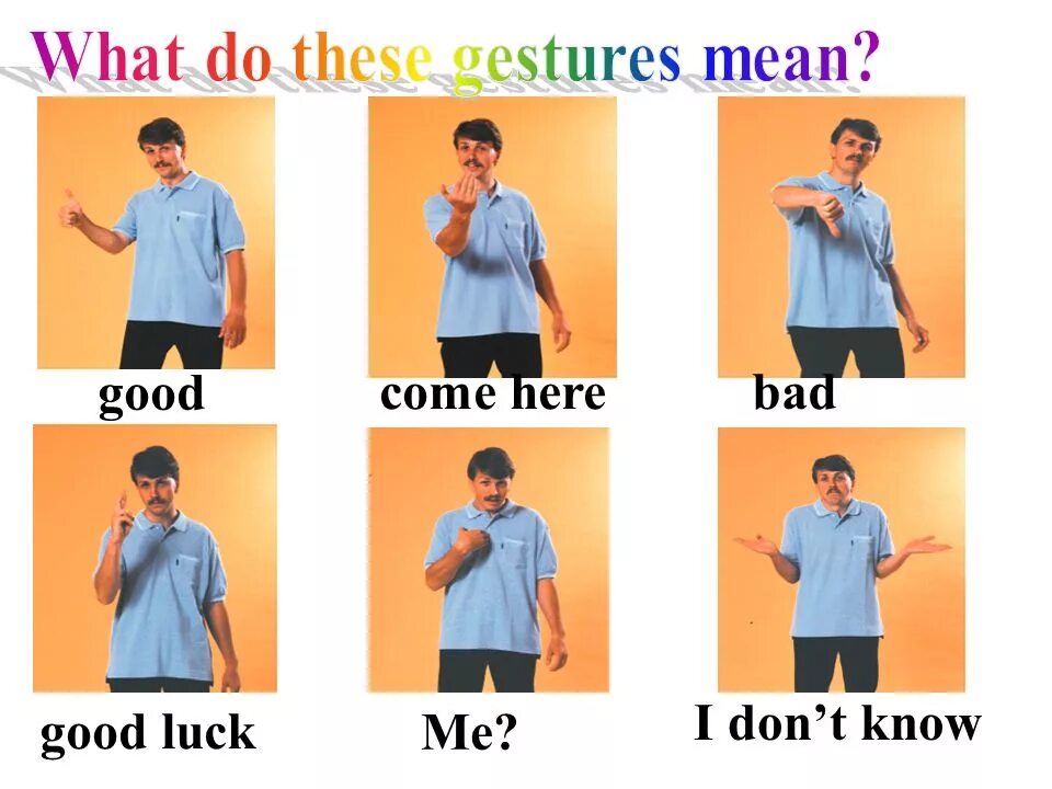 What do they know