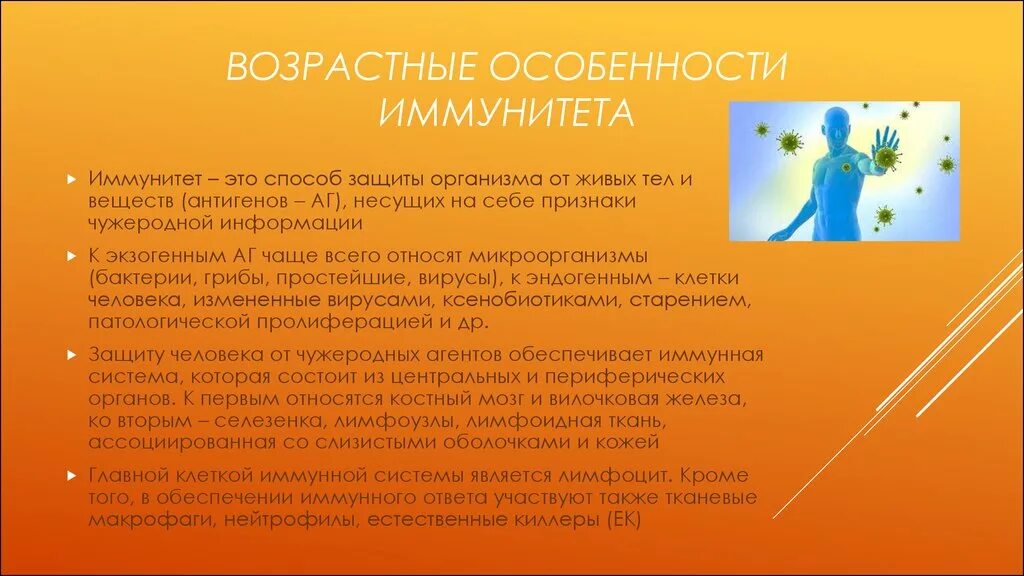 Возрастные особенности иммунитета. Возвратные особенности иммунитета. Возрастные особенности иммунитета презентация. Возрастные особенности иммунных органов.