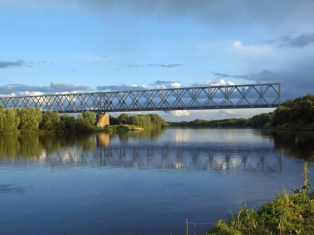 Южный днепр. Брянский жд мост через десну. Первомайский мост десна. Десна мост. Десна мост.