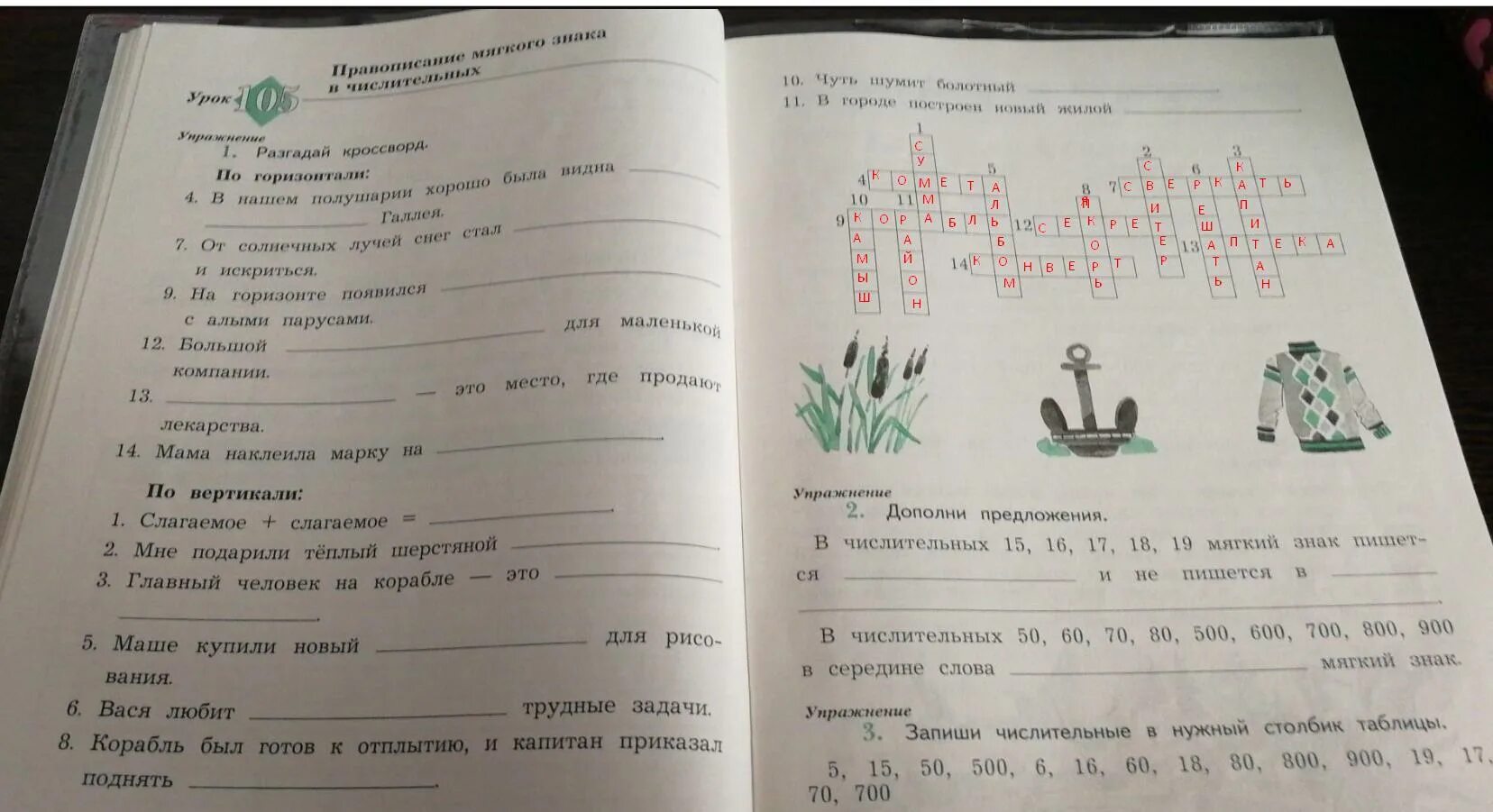 Разгадай кроссворд в нашем полушарии хорошо была