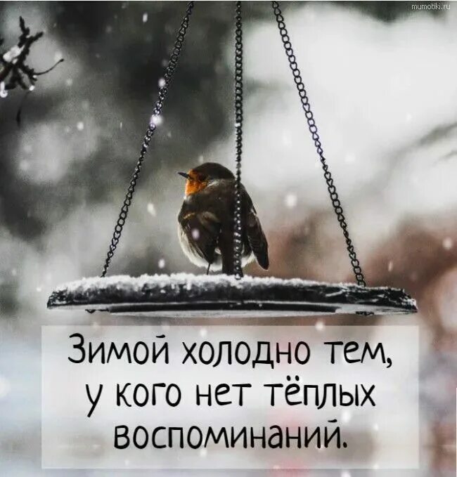 Цитаты про холод. Цитаты про холод