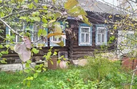 Жуковка нижегородская область