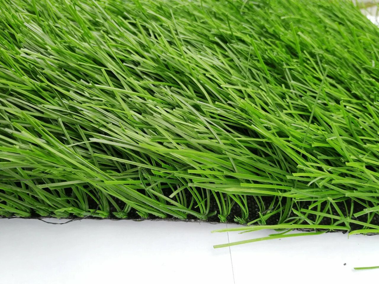 Grass price. Райграс пастбищный. Райграс пастбищный для газона. Газон из райграса. Искусственный газон.