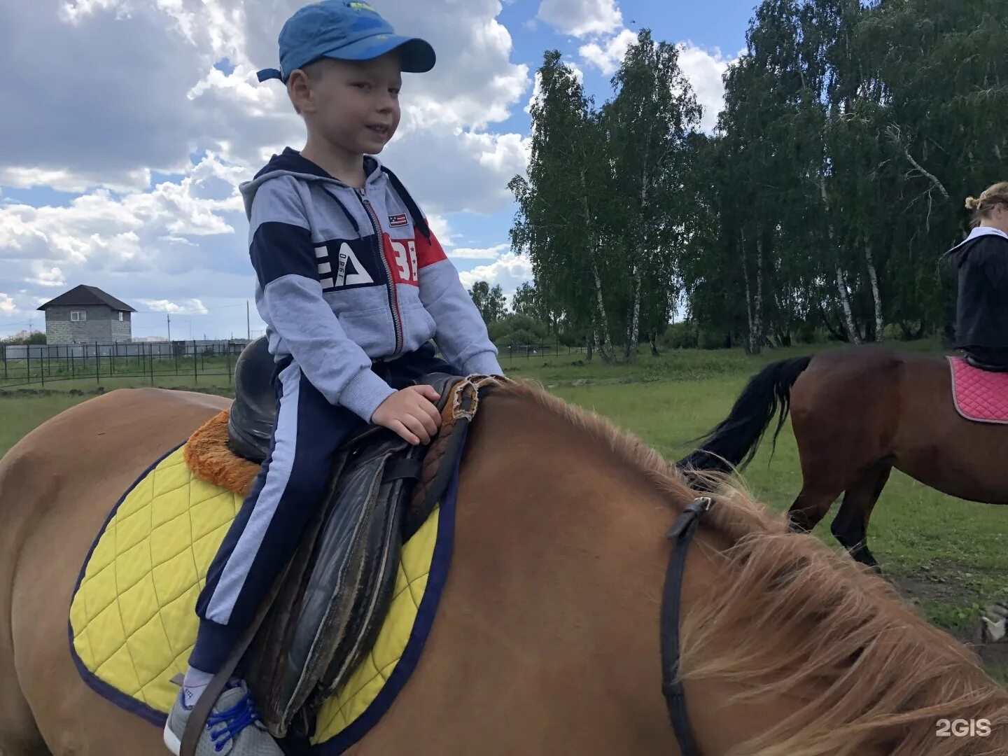 Феникс кск. Конный клуб Феникс деревня Моховички. Конный клуб Феникс. Конюшня Феникс СПБ. Феникс на КСК адрес.