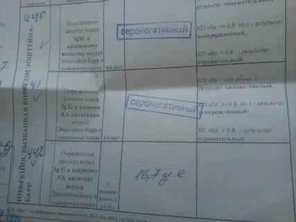 Иммуноглобулины к вирусу эпштейн барра