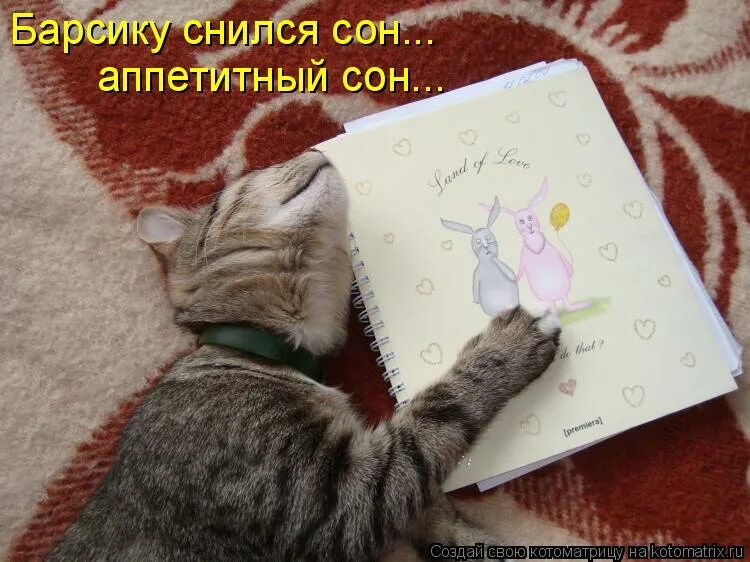 Кот пишет письмо. Кот делает уроки. Сочинение про своего кота. Поведение кота. Котенок пишет.