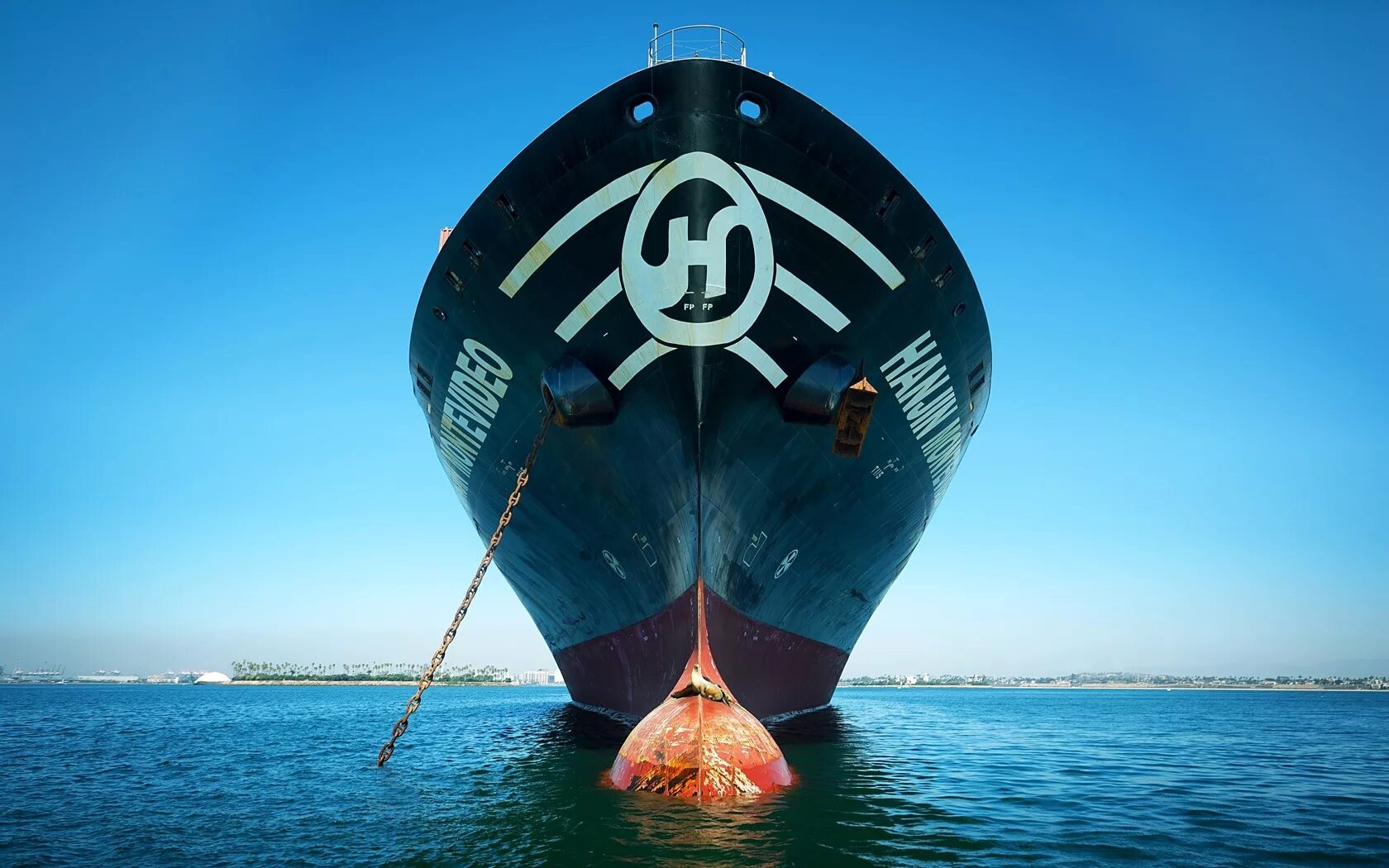 огромный якорь. якорь детская картинка. якорь декоративный. якорная цепь огромная. самый тяжелый якорь.