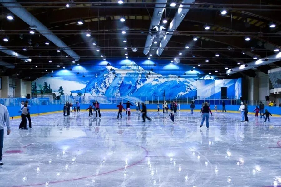 Каток Альпийский лед в Кузьминках. Ледовый дворец Ice Palace. Ice Arena ледовая Арена. Каток Павловский Посад Ледовый дворец. Адреса ледовых катков