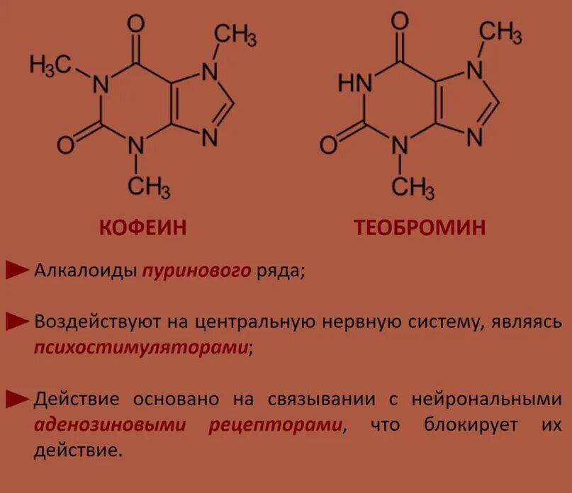 Кофеин и теобромин. Строение кофеина. Теобромин структурная формула. Кофеин и теобромин в кофейном зерне. Кофеин при температуре