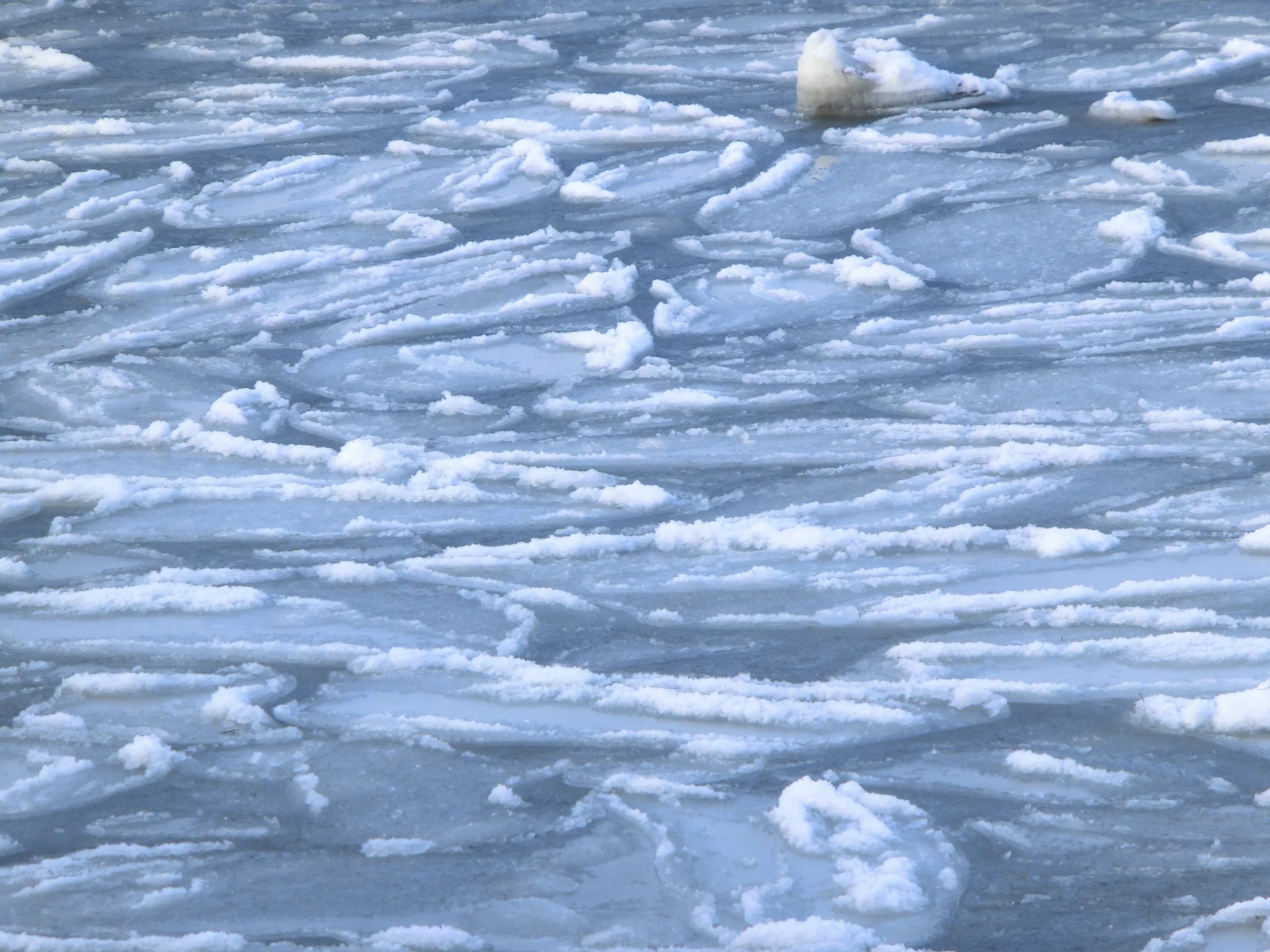 Iced heard. Снег в океане. Ледяная поверхность. Снег на поверхности. Снегопад в океане.