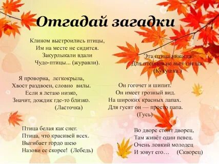 Загадка лист острый