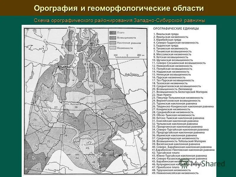 Тектоническое строение западно сибирской равнины таблица