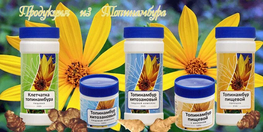 Топинамбур для здоровья. Топинамбур иерусалимский. Топинамбур характеристика растения. Чем полезен топинамбур. Топинамбур для здоровья.