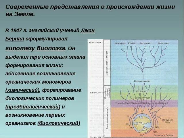 Проект по биологии происхождения жизни на земле Презентация "Начальные этапы биологической эволюции" (9 класс) по биологии ска