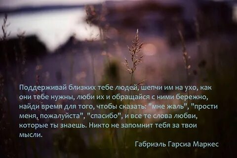 Мне жаль небосвод