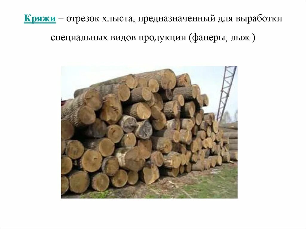 Работа кряж. Лесоматериалы бревно, кряж, чурак. бревно кряж чурак. кряж древесины это. бревна кряжи чураки.