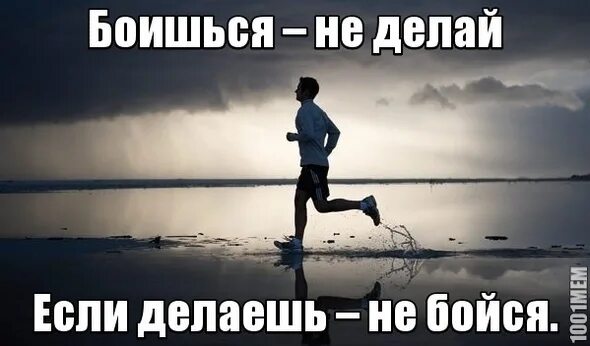 Не бойся