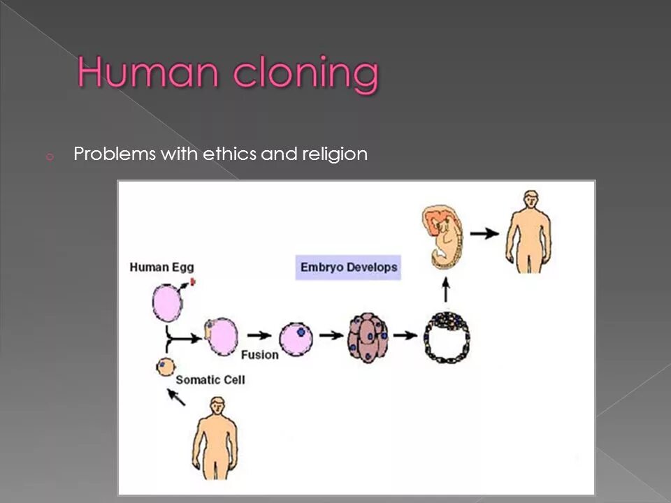 Направление клонирования. Cloning natural. типы клонирования волос. cloning софьи. темы для презентаций powerpoint клонирование.