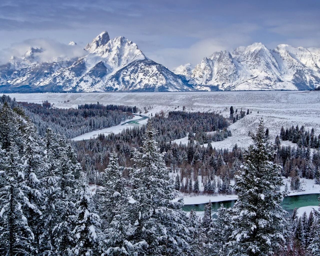 Interesting Photo of the Day: Mt Rainier Winter Landscape Winter scenery, Landsc