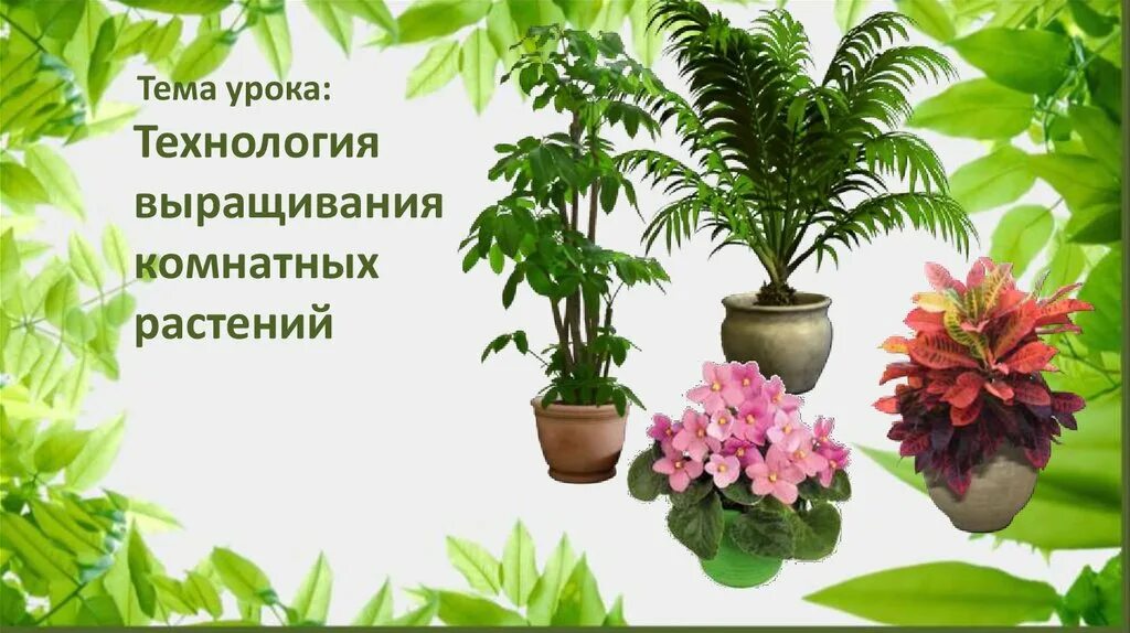 7 цветов техника