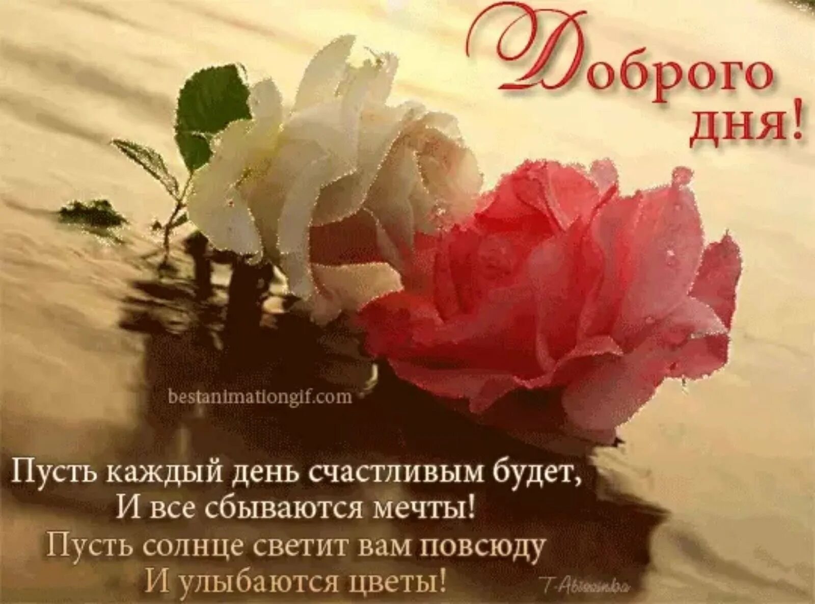 Нежность цветов