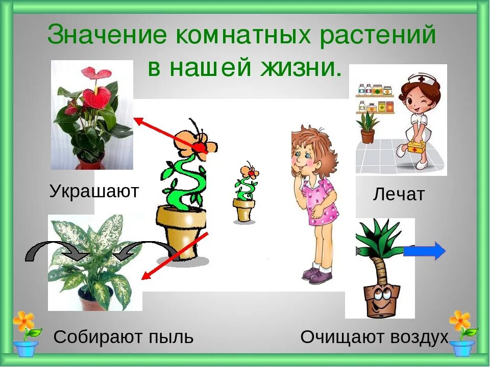 Зачем людям растения. Комнатные растения для дошкольников. Комнатные цветы для дошкольников. Комнатные растения иллюстрации. Человек и комнатные растения.