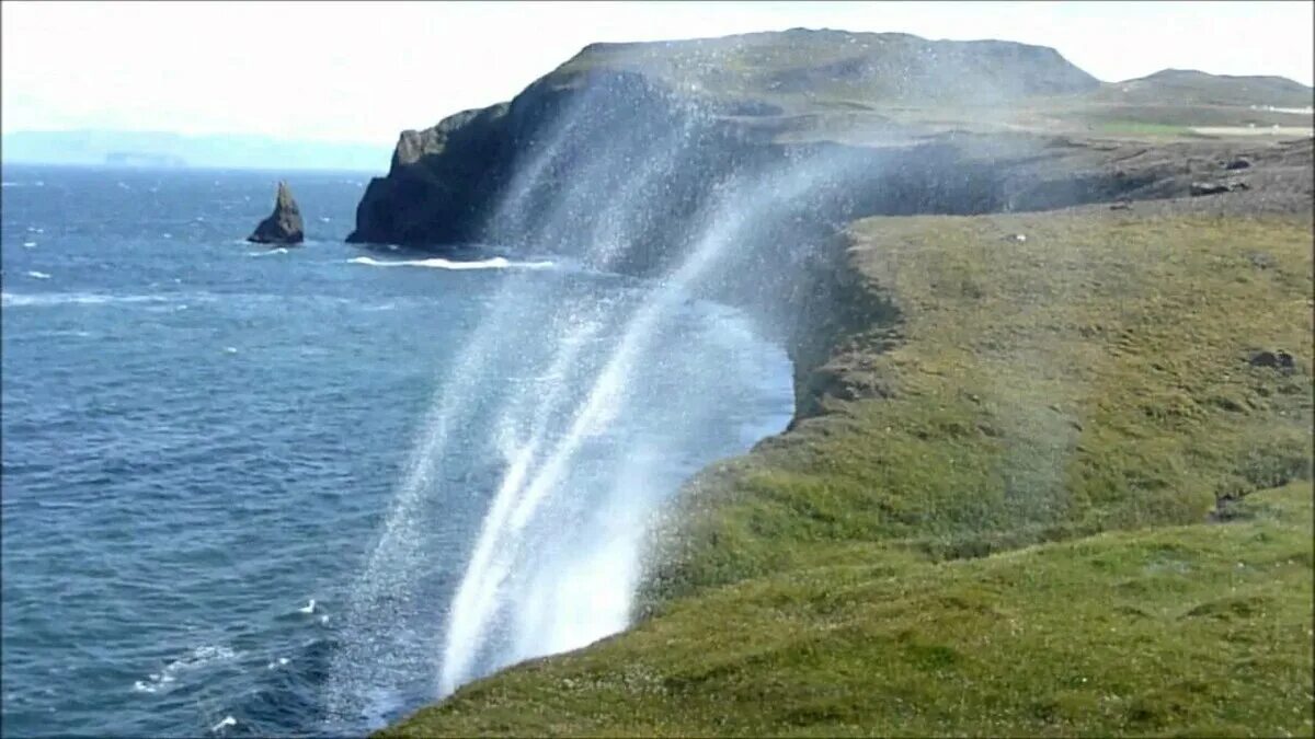 Вода течет вниз. Огромный водопад и человек. Величие воды. Как вода поднимается по стволу дерева высотой. Маленький ручеек.