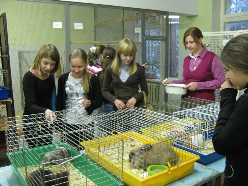 Живой уголок в классе. Павловская станция юных натуралистов. Станция юных натуралистов Ульяновск. Станция юных натуралистов Выборг. Станция юных натуралистов Саратов.