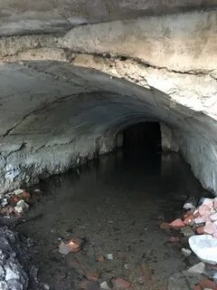 Погода в туиме