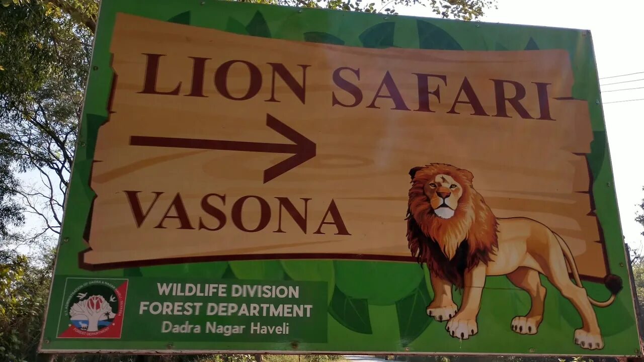 Реклама сафари тур. Крым львы сафари парк тайган. Шрифт сафари. Реклама одежды. Реклама сафари.