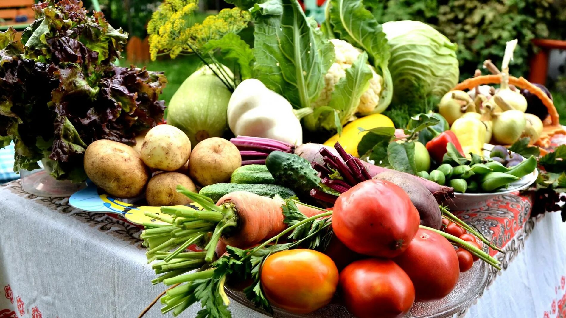 Сезонные продукты. Летние овощи. Сезонные овощи. Овощи России. Сезонные овощи россии