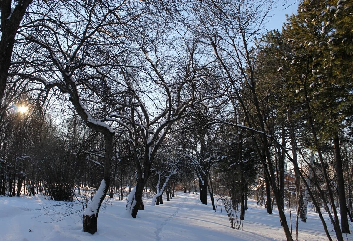 Уфа климат. Фото- Мытищи 4 апреля сегодня 2022 года.снег и красота природы. 20 Ноября 2021 года фото природы СПБ. Погода на апрель в уфе 2024 года