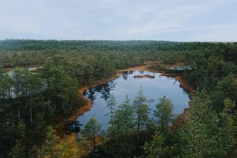 Зона река