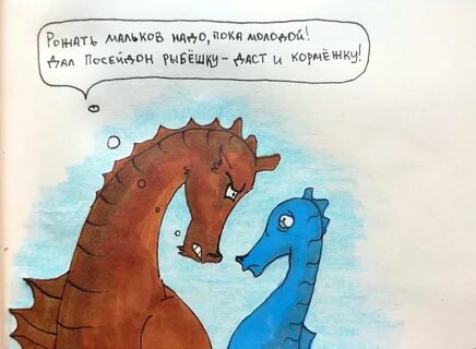 Не мой конек