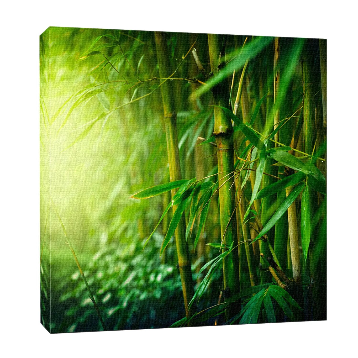 Купить Пряжа BAMBOO BAMBOO COTTON 100г цвет оливковый 32: отзывы, фото и характе