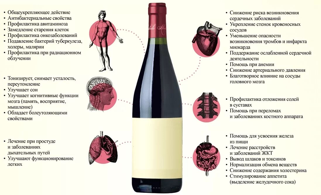 Чем полезно вино. Польза красного вина. Полезность вина. Полезные красные вина.