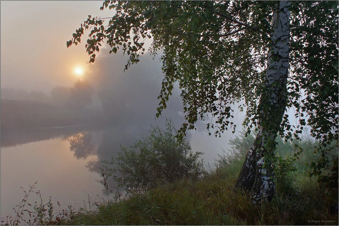 Вдали прозрачной. Одинокая береза. Рассвет березы. Березы у реки. Одинокая береза у реки.